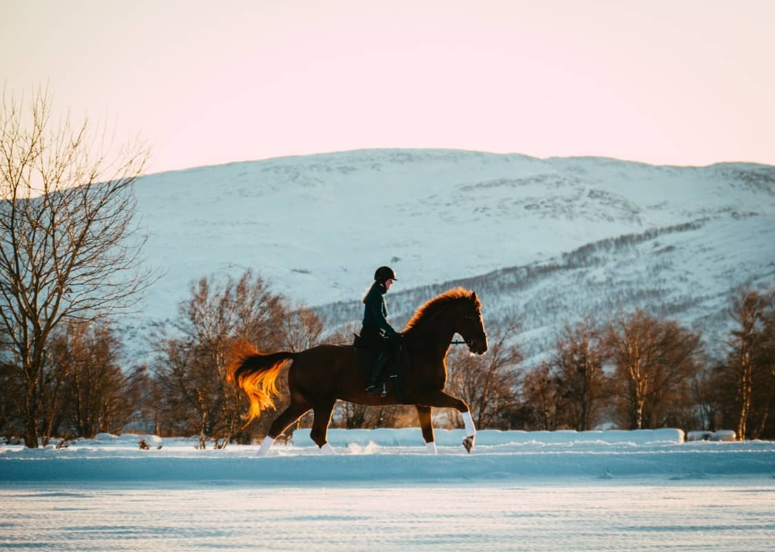 A horse trotting through snow at golden hour, rider relaxed in the saddle