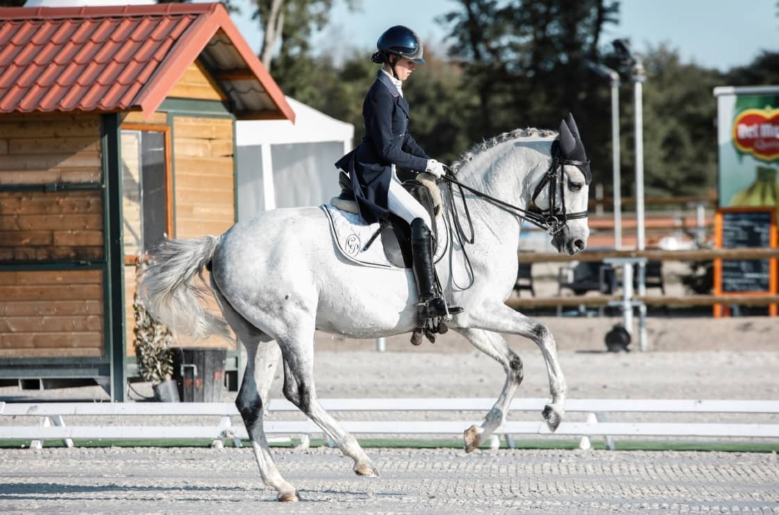 Dressage rider on a dapple grey at the show, calm and collected